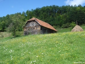 Vând Proprietate la Valea Bradului, Mun. Brad,  Jud. Hunedoara, formată din 11.965 mp teren și clădi - imagine 7