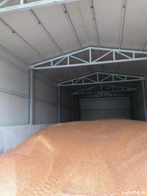 Vand hale metalice din profile - imagine 3