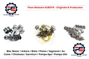 Piese motoare Kubota 