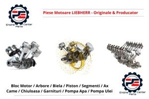 Piese motoare Liebherr