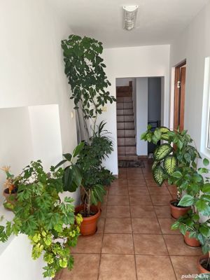 Vând casa P+1- 325 mp, anexa 225  și 1100 mp teren aferent, în Caransebes , Aleea.Sportivilor , nr.1 - imagine 8