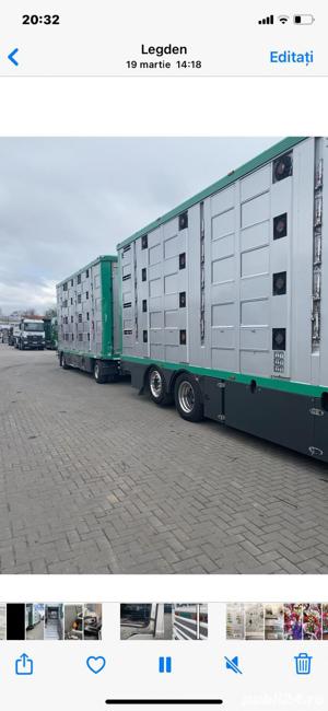 Transport animale vii