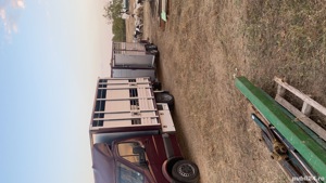 Transport animale vii - imagine 2