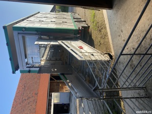 Transport animale vii - imagine 4