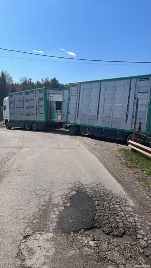 Transport animale vii - imagine 5