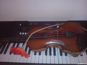 Lecții de Vioară, Violă și NAI.