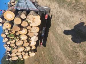   Lemn de foc    - imagine 2