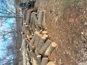   Lemn de foc   - imagine 4