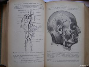 Dr.Edouard Friteau- Anatomie et phyhologie,Histologie, Embryologie,Pathologie et Therapeutique-Paris - imagine 9