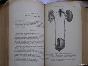 Dr.Edouard Friteau- Anatomie et phyhologie,Histologie, Embryologie,Pathologie et Therapeutique-Paris - imagine 10