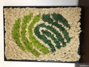 Vand tablouri cu licheni decorativi - imagine 2