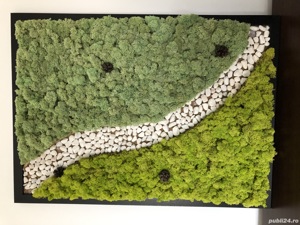 Vand tablouri cu licheni decorativi - imagine 3