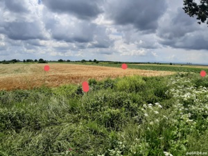 Inchiriez teren intravilan buzau 8 km de centru - Nationala Dn2b - imagine 3