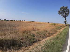 Inchiriez teren intravilan buzau 8 km de centru - Nationala Dn2b - imagine 5