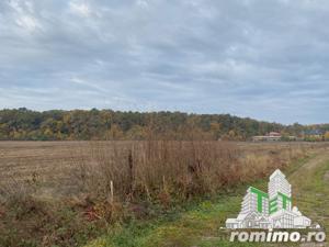 Rate la dezvoltator|Teren cu deschidere la padure - imagine 4