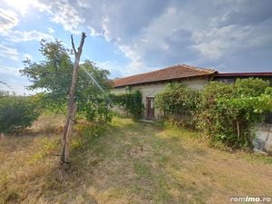 Casa + Teren 13.000 mp - Cervenia - Teleorman - imagine 13