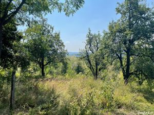 Teren intravilan Cucuteni - imagine 4