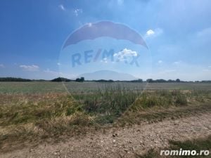 Teren agricol 3.18 ha DN ARAD-PECICA-NADLAC - imagine 11