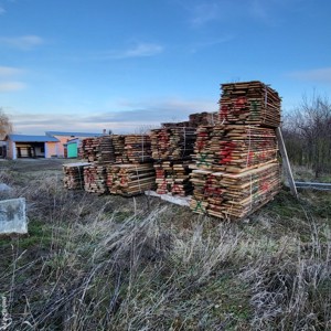 Cherestea USCATA in uscator tei si stejar in Suceava - imagine 5