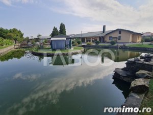 Vila de lux cu iaz si piscina zona rezidentiala de vanzare in Sebes - imagine 11