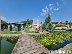 Vila de lux cu iaz si piscina zona rezidentiala de vanzare in Sebes - imagine 7