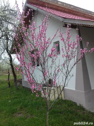 Vând casa+teren  în zona Ionesti - Valcea - imagine 3