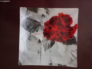 Set 6 farfurii şi platou Arcofam pentru tort, aperitive 