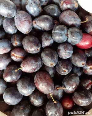 Palinca de prune bistritene - imagine 3