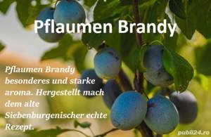 Palinca ardeleneasca