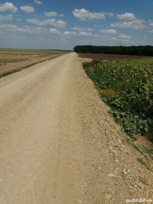 Teren de vanzare in afara Bucurestiului, lângă pădure  - imagine 4