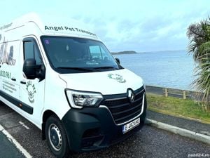 Transport Caini si Pisici Autorizat din Romania catre Anglia