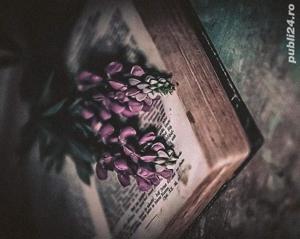 Content writer și corector texte și manuscrise