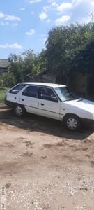 Vsnzare Skoda Forman - imagine 4