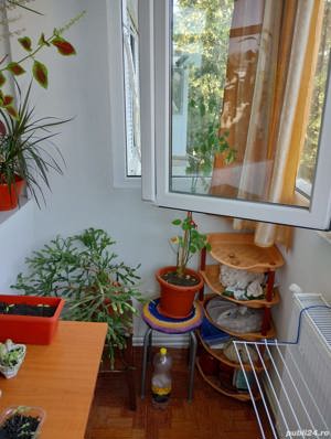 Vanzare apartament - imagine 4