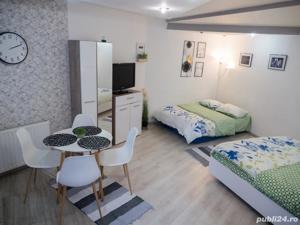 Vand Apartament 1 camera Centrul Istoric Sibiu - imagine 4