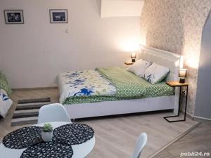 Vand Apartament 1 camera Centrul Istoric Sibiu - imagine 3