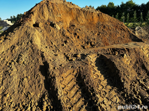 PAMANT curat galben nisipos pentru GAZON - imagine 4