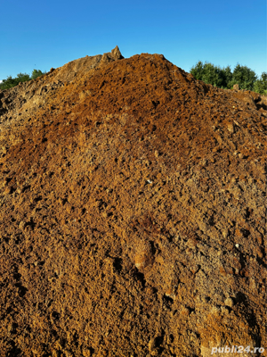 PAMANT curat galben nisipos pentru GAZON - imagine 5