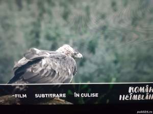 Player DVD Sony DVP-NS430 - imagine 9