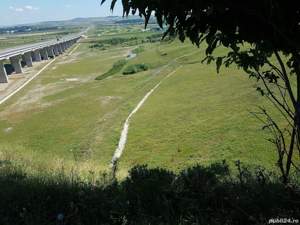 Servicii de întreținere spații verzi - imagine 2