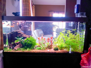 Vând acvariu pt pești, 400 litri, cu toate accesoriile - imagine 2