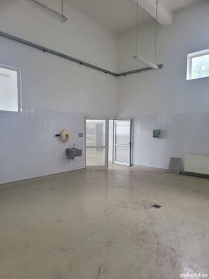 Teren 4.000 m.p. + Cladire 1.000 m.p. - imagine 6