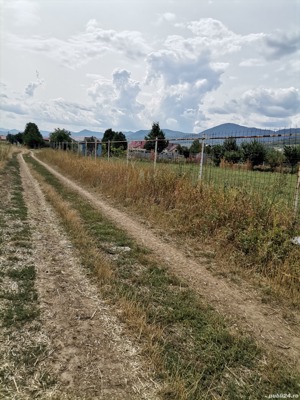 Teren intravilan în Piatra Neamț, în suprafață de 4800 mp - imagine 4