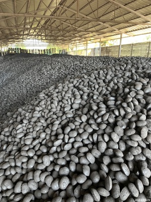 Brichete Carbune+ cocs  ( 700 lei - 1   Tona ) - imagine 2