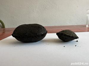 Brichete Carbune+ cocs  ( 700 lei - 1   Tona ) - imagine 6