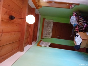 Casa de vanzare la tara,teren5000 mp plus o hala de 100 m p. - imagine 3