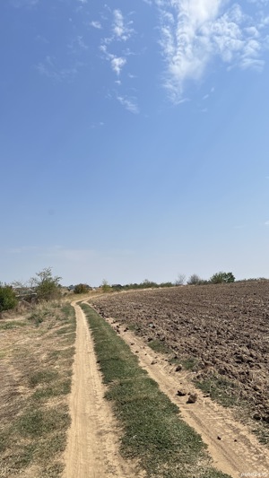 Teren A2 km 21 langa lacul Vadu Anei  - imagine 6