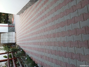 Transport cu autoutilitara 