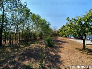 Teren intravilan agricol si teren curti constructii Lot 2 Parcela A326 49 - imagine 13