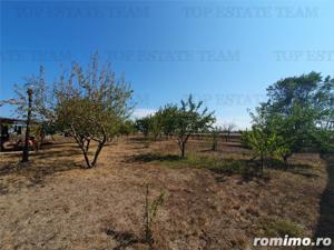 Teren intravilan agricol si teren curti constructii Lot 2 Parcela A326 49 - imagine 15